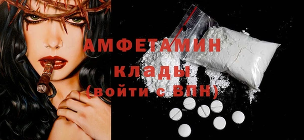 прущие грибы Новодвинск