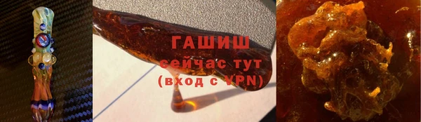 прущие грибы Новодвинск