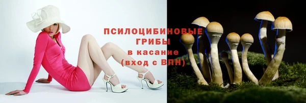 соль курить ск Новокубанск
