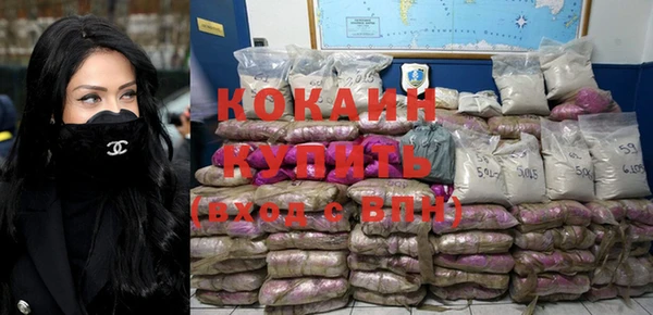 прущие грибы Новодвинск