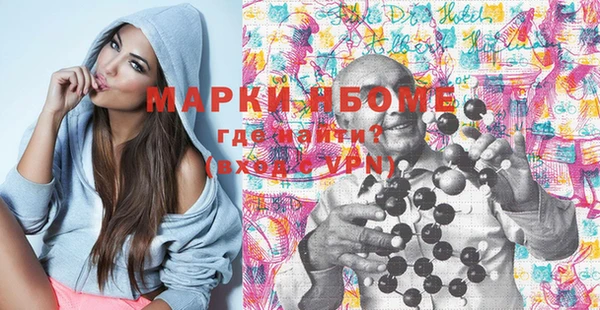 прущие грибы Новодвинск