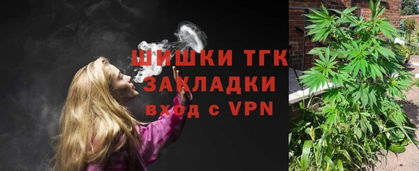прущие грибы Новодвинск