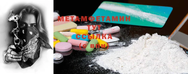прущие грибы Новодвинск