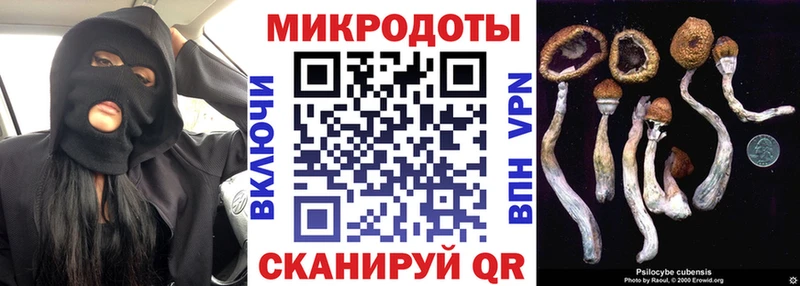 Псилоцибиновые грибы Psilocybe мориарти клад Новосибирск