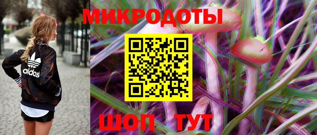 Галлюциногенные грибы мухоморы Новосибирск