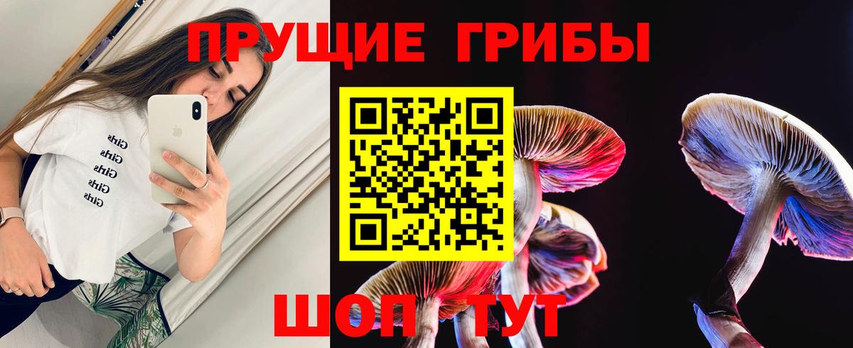 Новосибирск  Галлюциногенные грибы GOLDEN TEACHER  Вход с VPN 