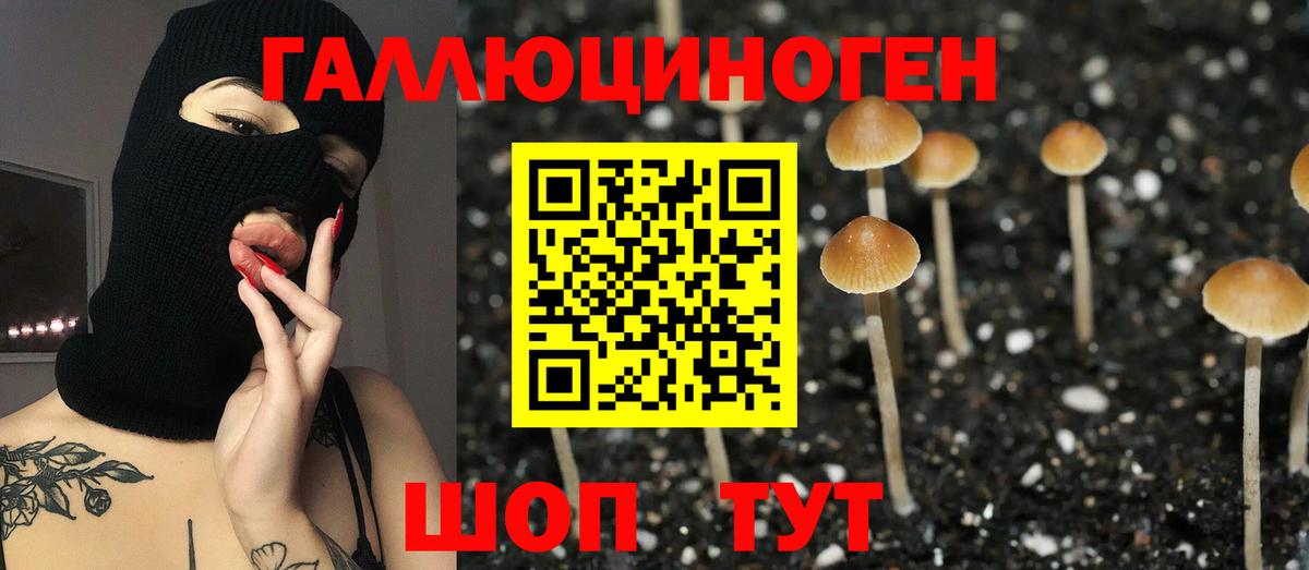 Alpha PVP СОЛЬ   Каннабис  Экстази  Кокаин  Вход с VPN  Гашиш  НБОМе  Новосибирск  Мефедрон кристаллы 